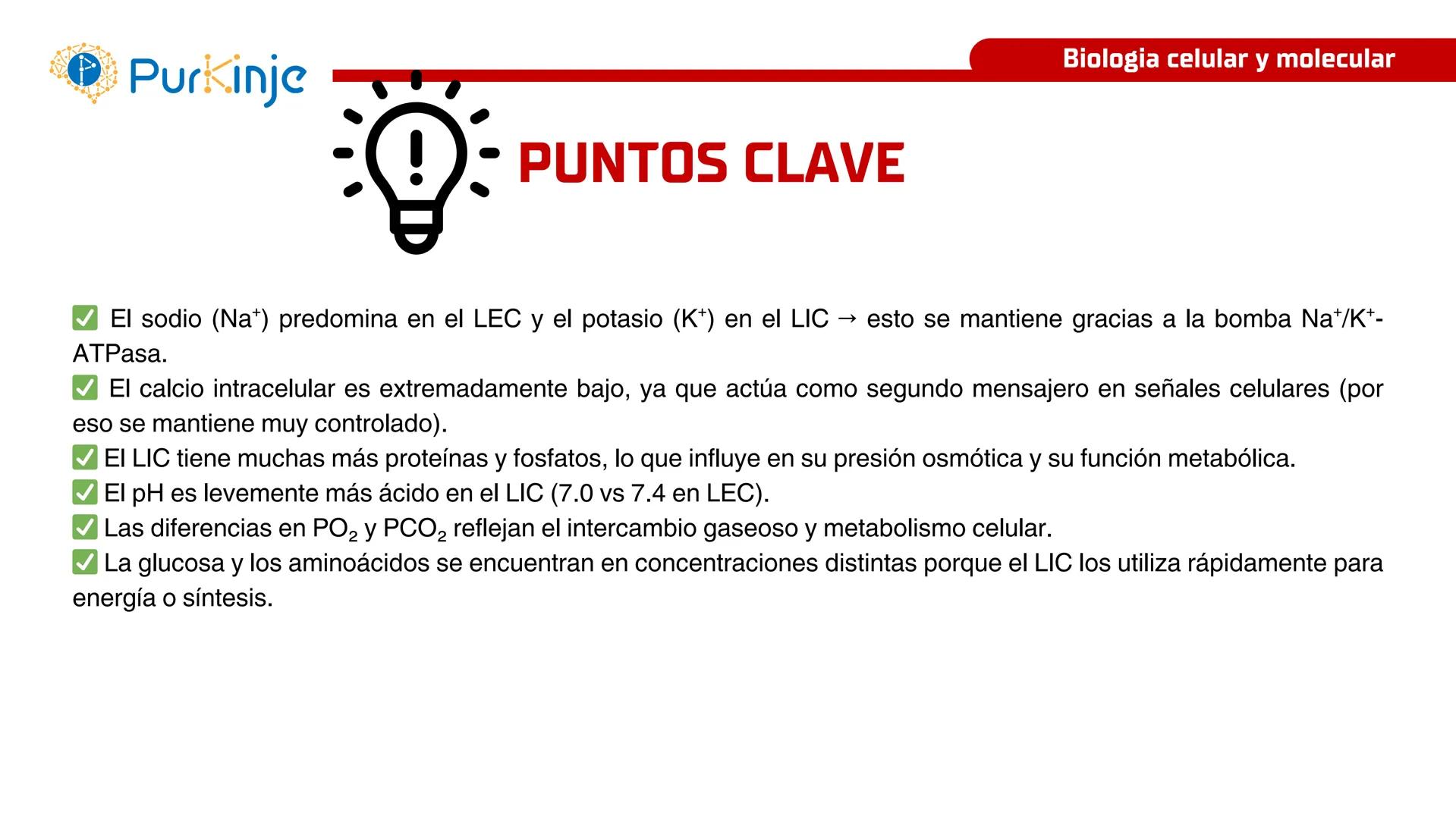 # Purkinje
MEMBRANA CELULAR
Semana 1
Tutor:Leonardo Roque Purkinje
Biologia celular y molecular
OBJETIVOS DE CLASE
• Describir la orga