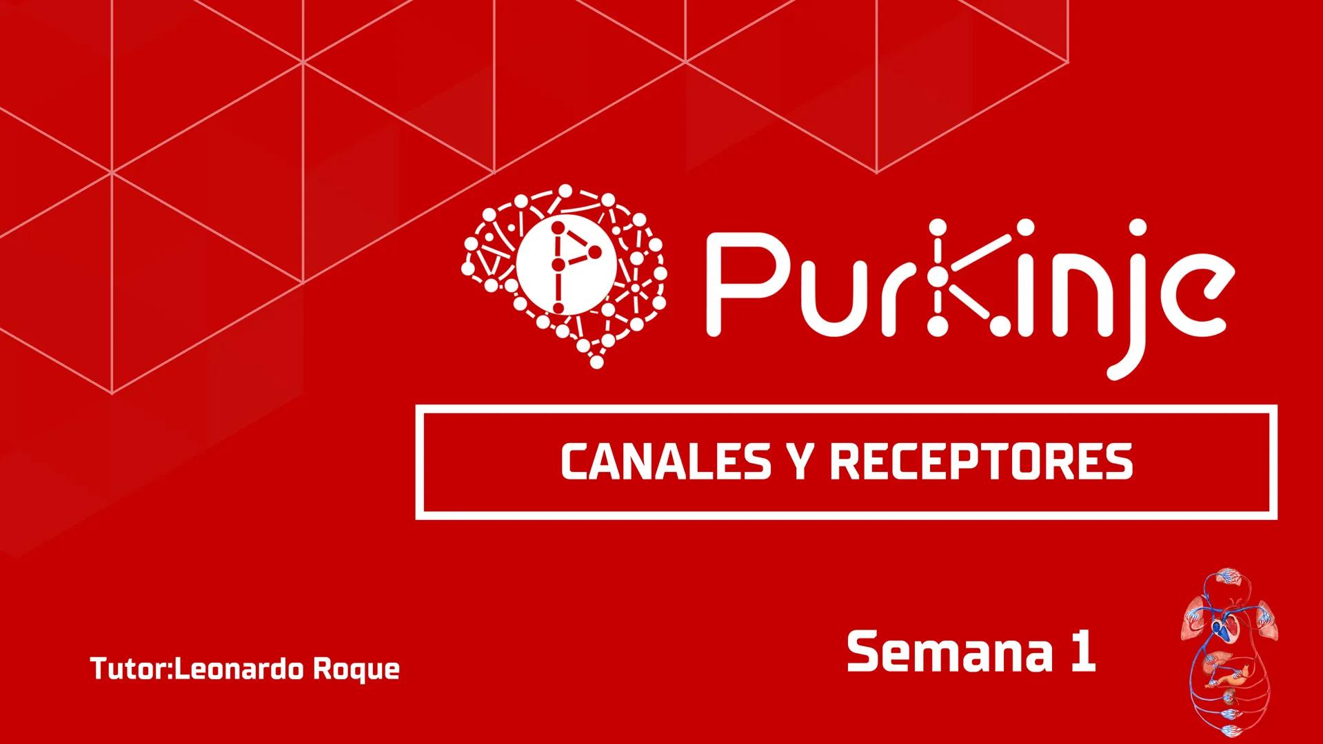 # Purkinje
MEMBRANA CELULAR
Semana 1
Tutor:Leonardo Roque Purkinje
Biologia celular y molecular
OBJETIVOS DE CLASE
• Describir la orga