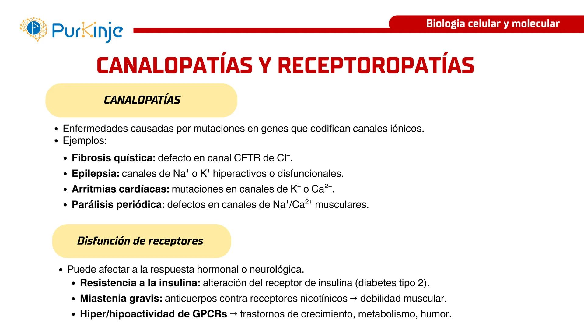 # Purkinje
MEMBRANA CELULAR
Semana 1
Tutor:Leonardo Roque Purkinje
Biologia celular y molecular
OBJETIVOS DE CLASE
• Describir la orga