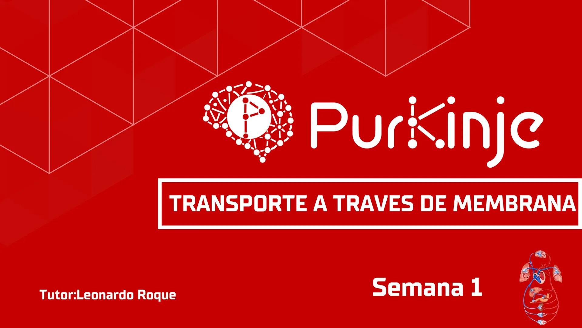 # Purkinje
MEMBRANA CELULAR
Semana 1
Tutor:Leonardo Roque Purkinje
Biologia celular y molecular
OBJETIVOS DE CLASE
• Describir la orga