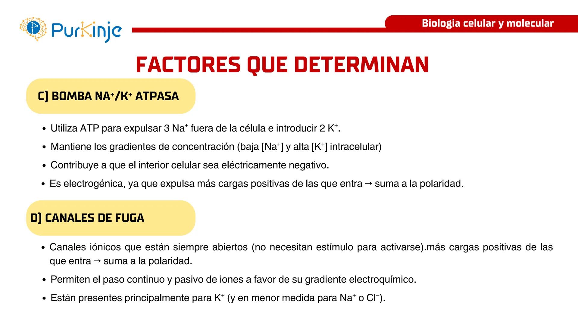 # Purkinje
MEMBRANA CELULAR
Semana 1
Tutor:Leonardo Roque Purkinje
Biologia celular y molecular
OBJETIVOS DE CLASE
• Describir la orga