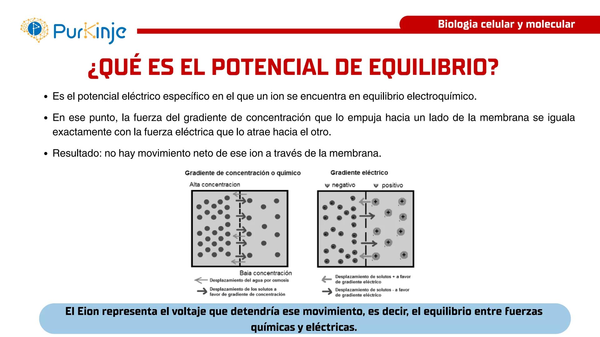 # Purkinje
MEMBRANA CELULAR
Semana 1
Tutor:Leonardo Roque Purkinje
Biologia celular y molecular
OBJETIVOS DE CLASE
• Describir la orga