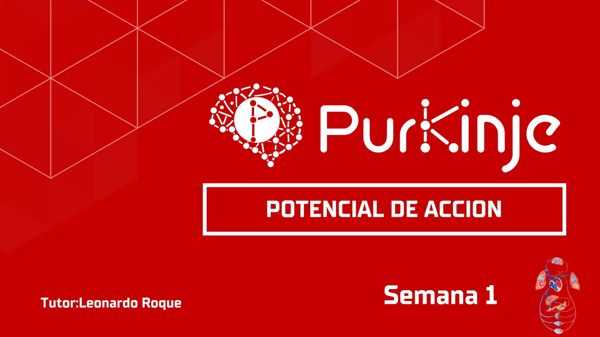 # Purkinje
MEMBRANA CELULAR
Semana 1
Tutor:Leonardo Roque Purkinje
Biologia celular y molecular
OBJETIVOS DE CLASE
• Describir la orga