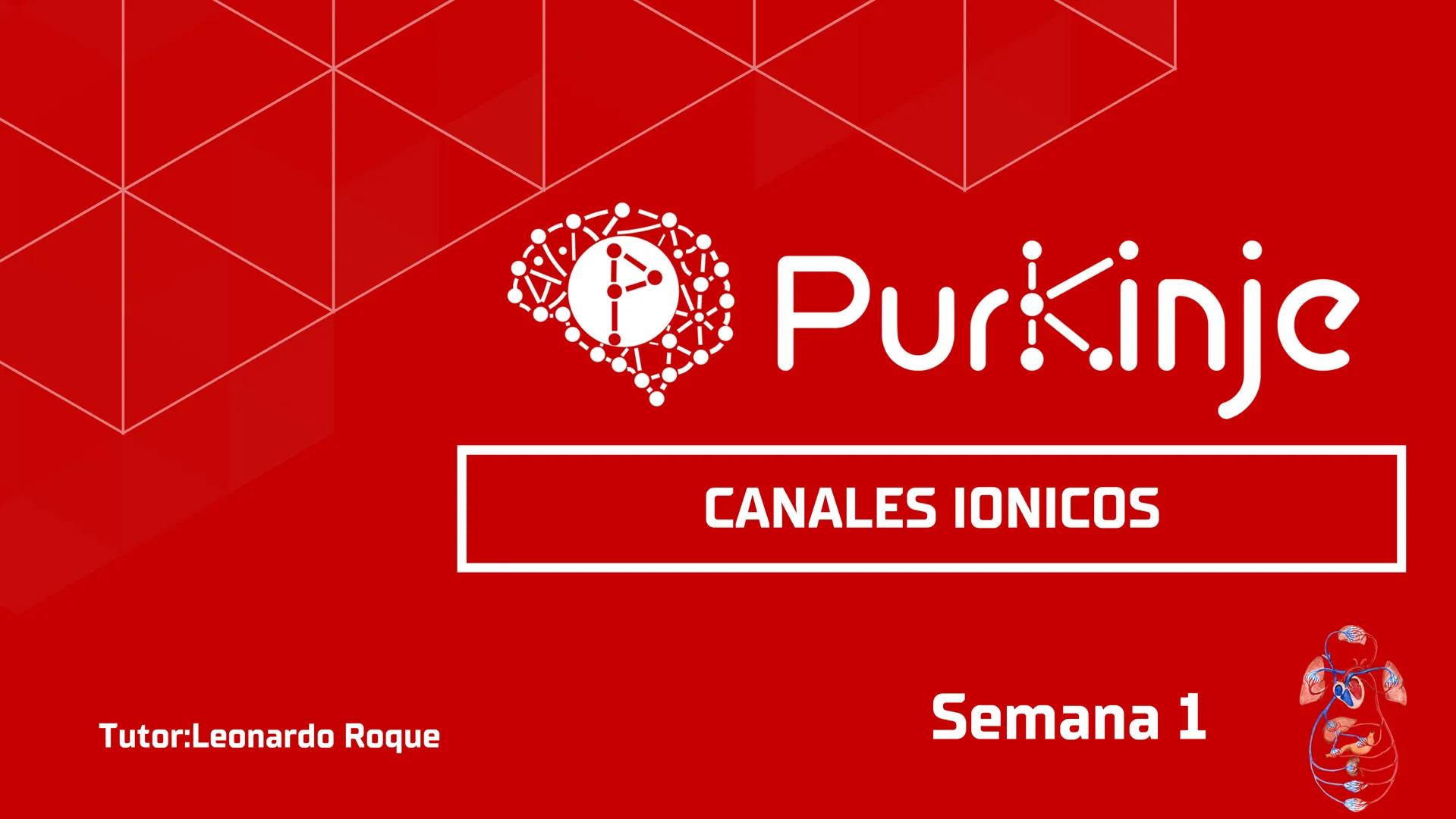 # Purkinje
MEMBRANA CELULAR
Semana 1
Tutor:Leonardo Roque Purkinje
Biologia celular y molecular
OBJETIVOS DE CLASE
• Describir la orga