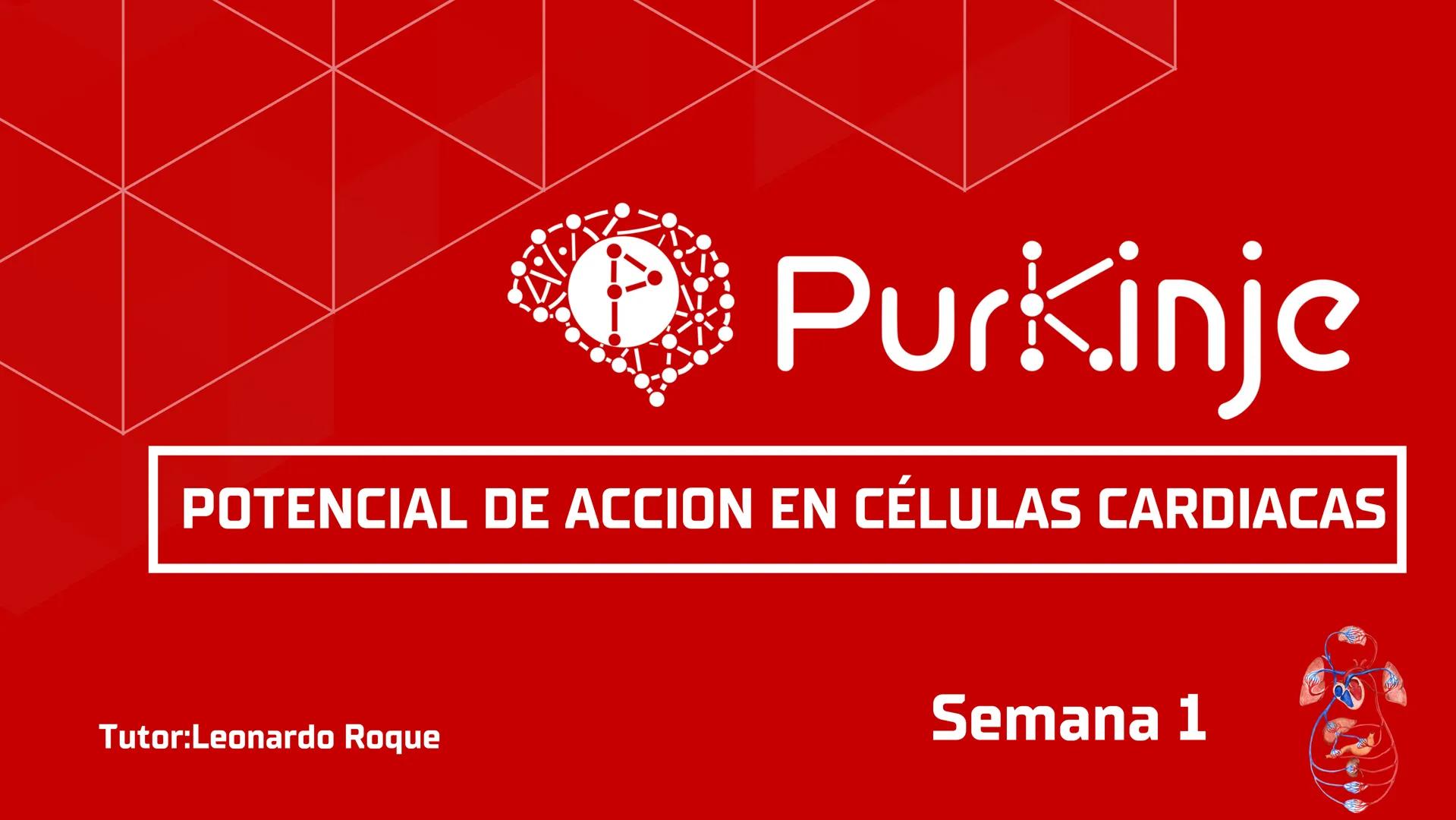 # Purkinje
MEMBRANA CELULAR
Semana 1
Tutor:Leonardo Roque Purkinje
Biologia celular y molecular
OBJETIVOS DE CLASE
• Describir la orga