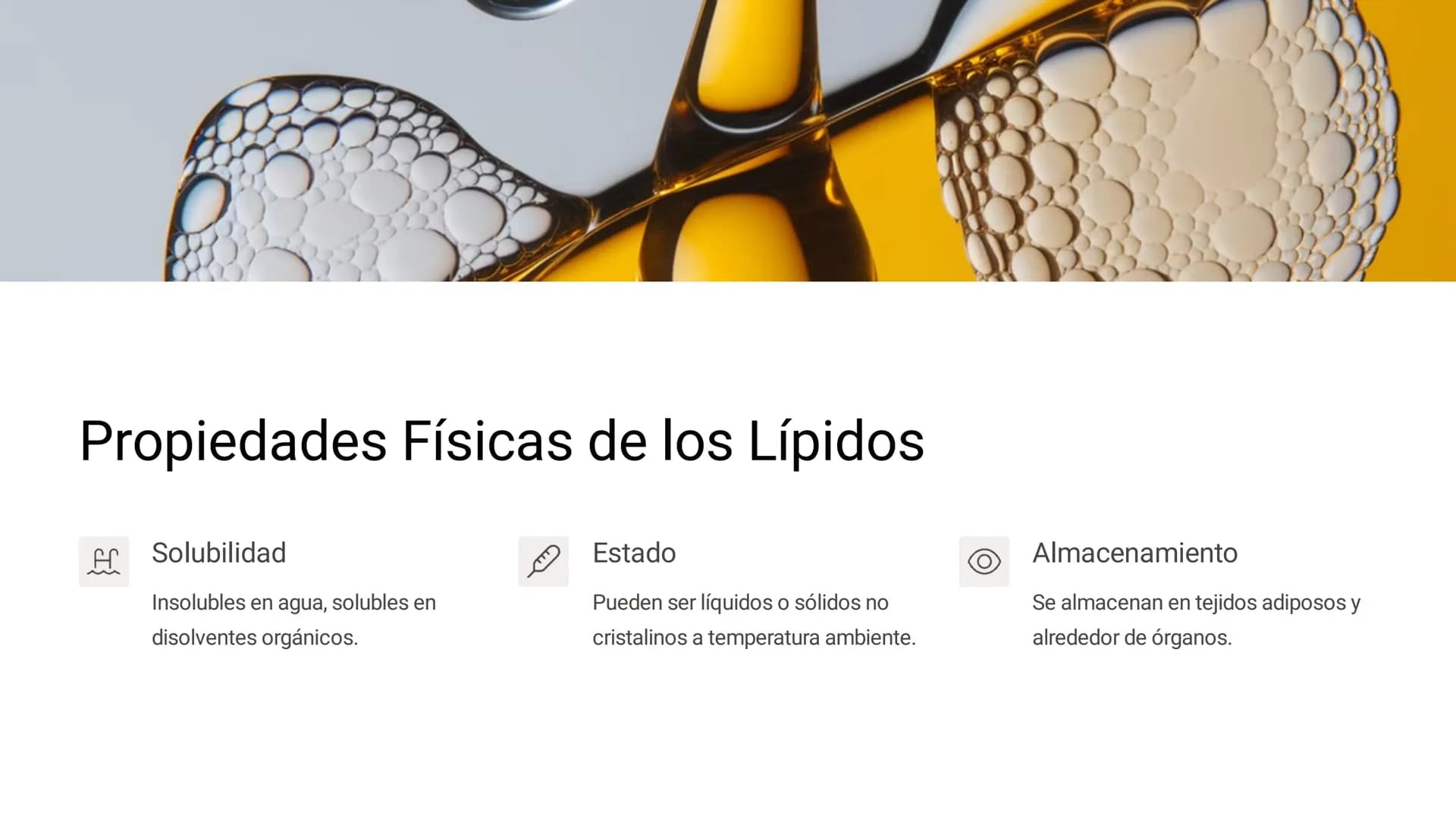 # LOS LÍPIDOS
Los lípidos son biomoléculas orgánicas
formadas por C, H y O pudiendo contener
además N, P y S. Son un grupo muy
heterogéneo