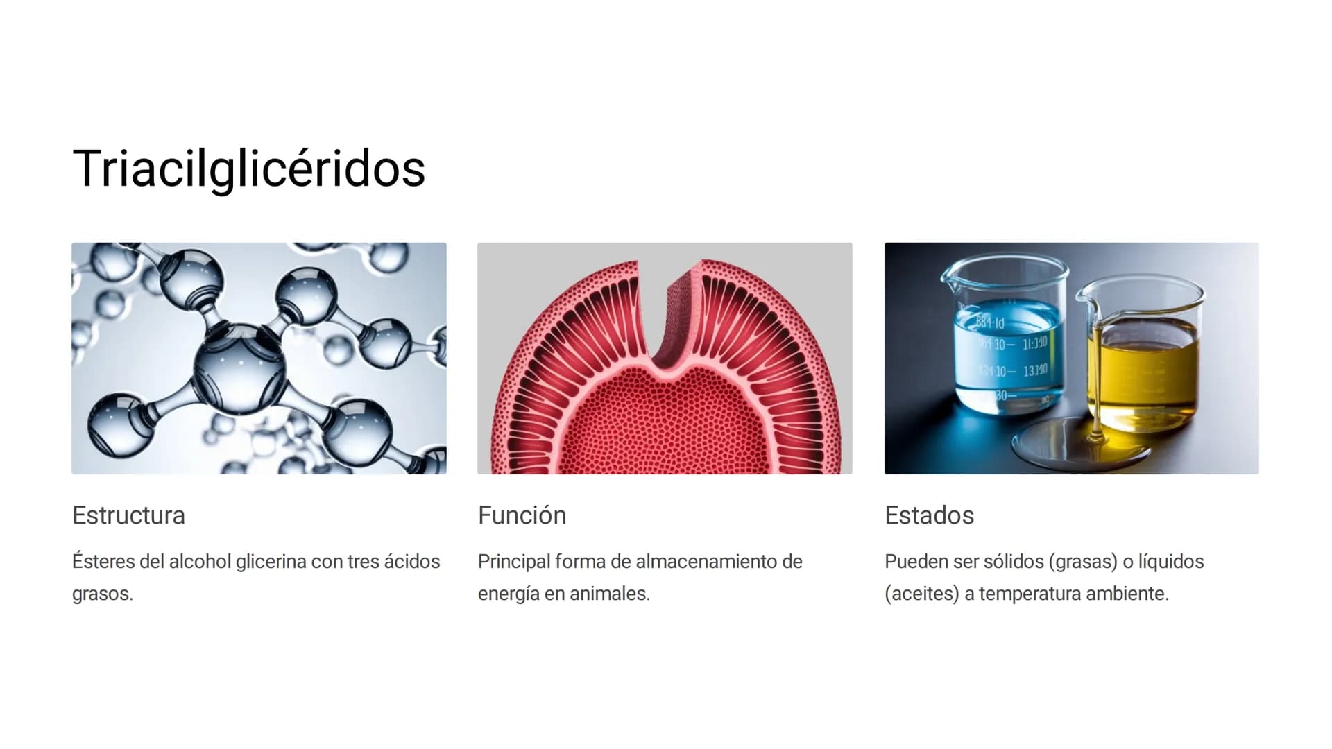 # LOS LÍPIDOS
Los lípidos son biomoléculas orgánicas
formadas por C, H y O pudiendo contener
además N, P y S. Son un grupo muy
heterogéneo