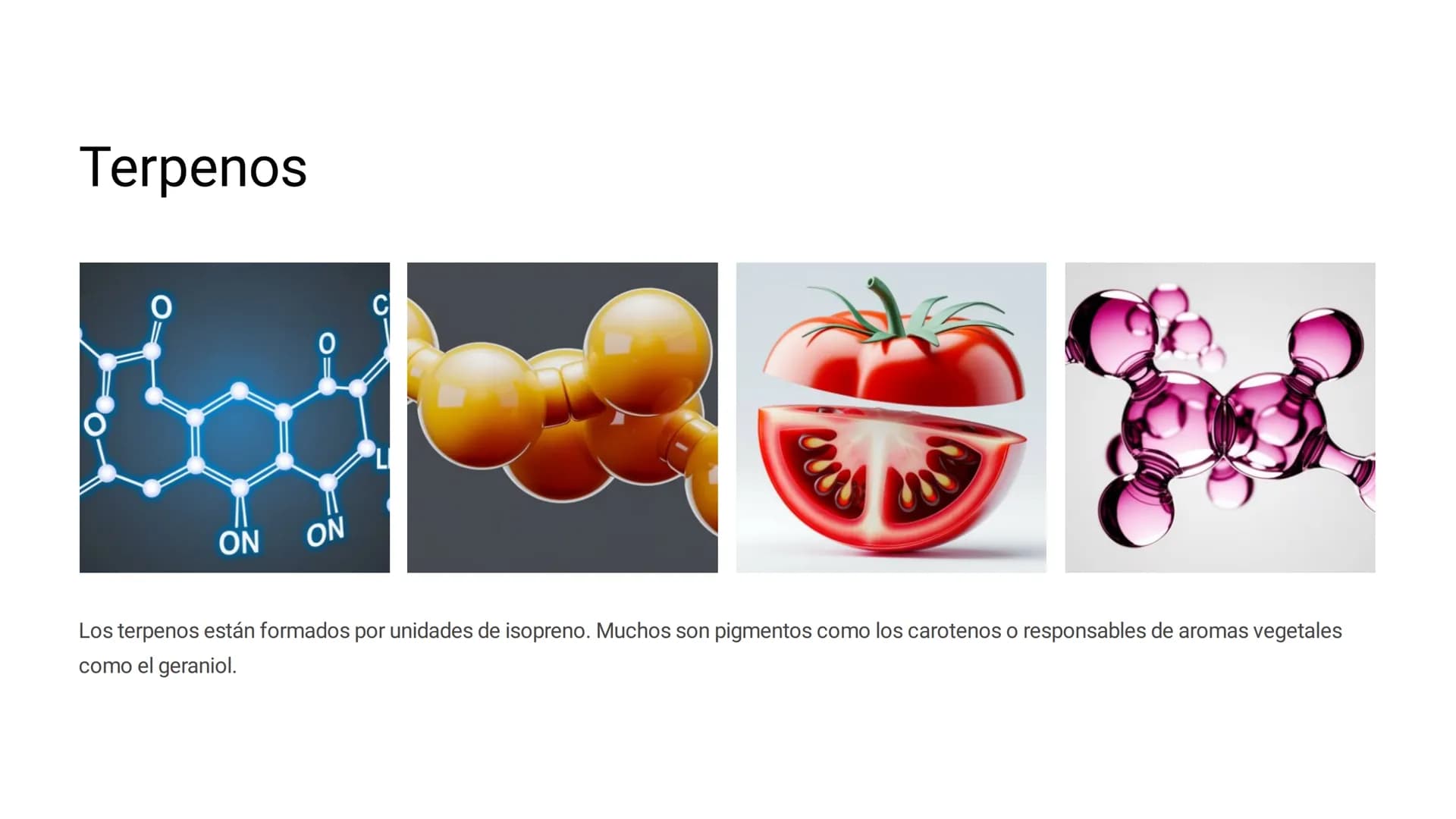 # LOS LÍPIDOS
Los lípidos son biomoléculas orgánicas
formadas por C, H y O pudiendo contener
además N, P y S. Son un grupo muy
heterogéneo
