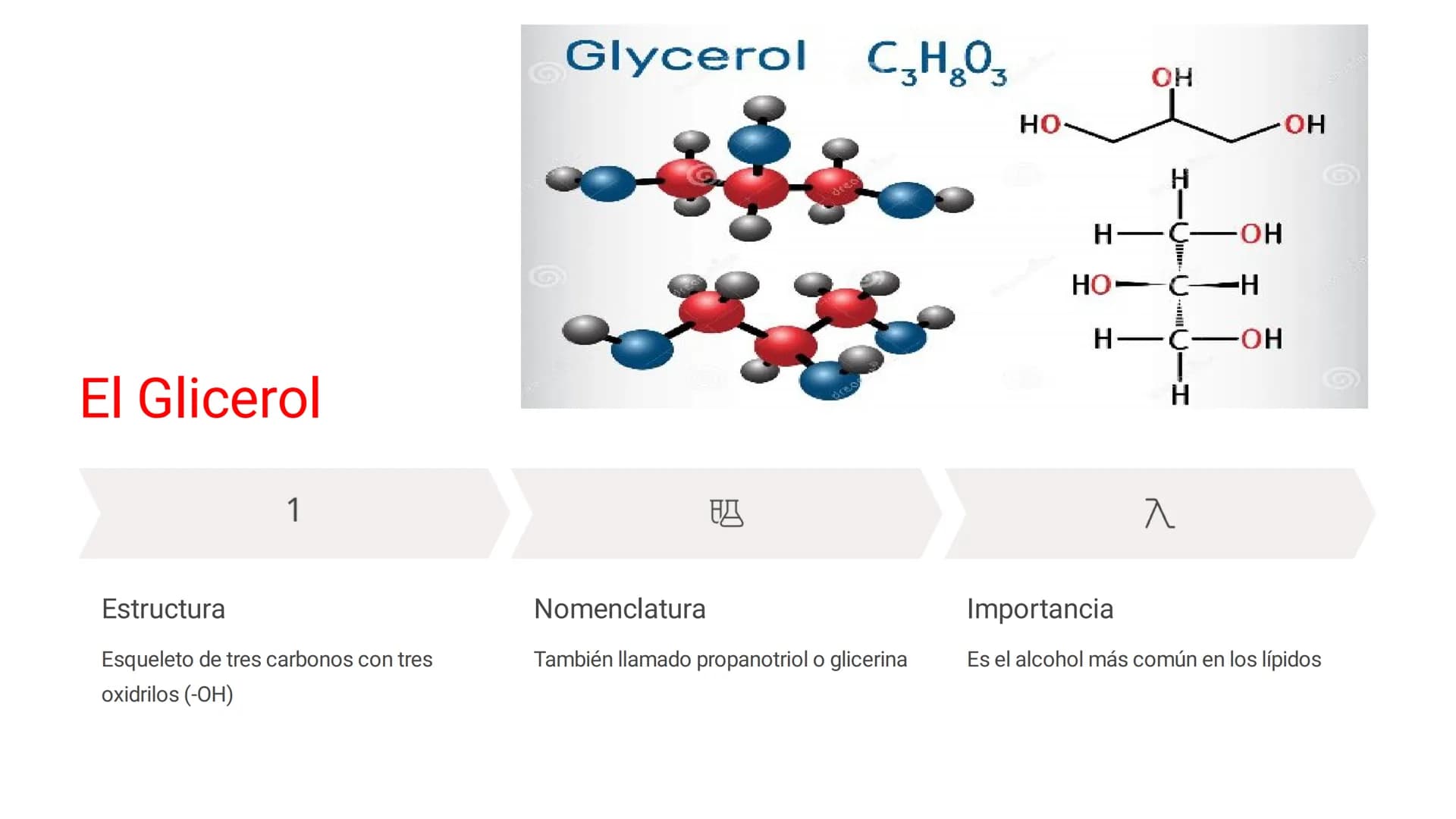 # LOS LÍPIDOS
Los lípidos son biomoléculas orgánicas
formadas por C, H y O pudiendo contener
además N, P y S. Son un grupo muy
heterogéneo