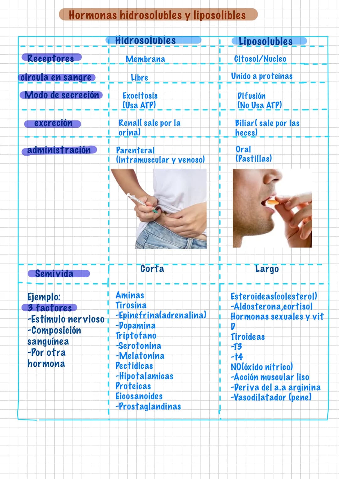 # Endocrinología
## Hormonas
- Son Mensajeros Químicos
- Funcion modulo funciones
- Viaja por la sangre
- Duracion: larga
- son pro ducidas