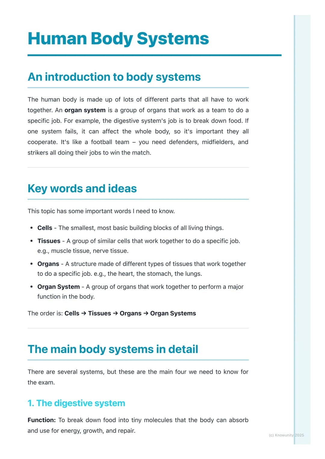 # Human Body Systems
An introduction to body systems
The human body is made up of lots of different parts that all have to work
together.