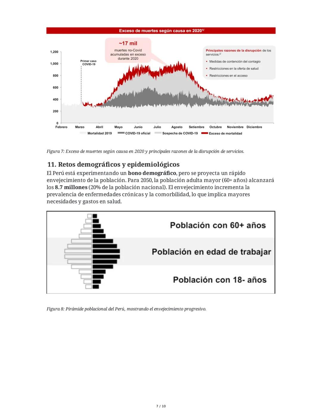 El sistema de salud en el Perú
1. Definición y estructura general del sistema de salud
El sistema de salud en el Perú abarca todas las organ