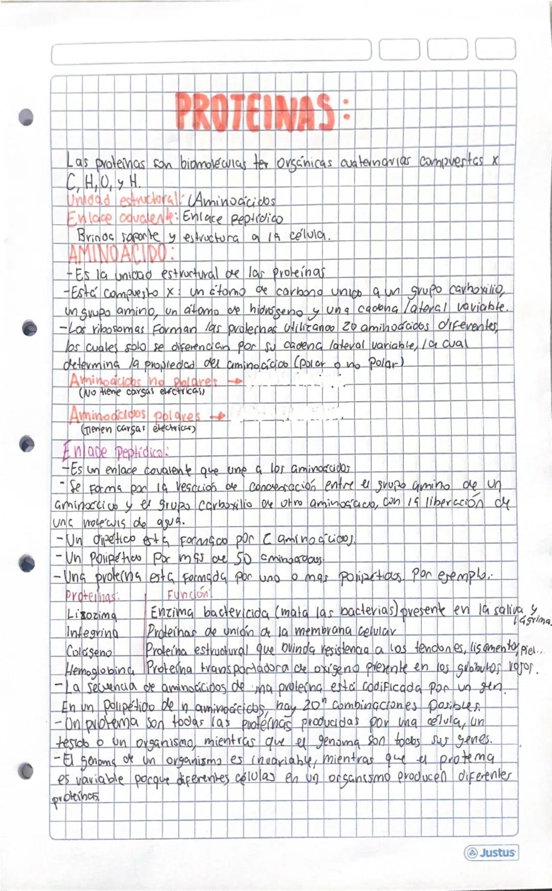 # PROTEINAS:
Las proteinas son biomoleculas orgánicas cuaternarias compuestas x
$C, H, O, y H$
Unidad estructural: Aminoácidos
Enlace cova