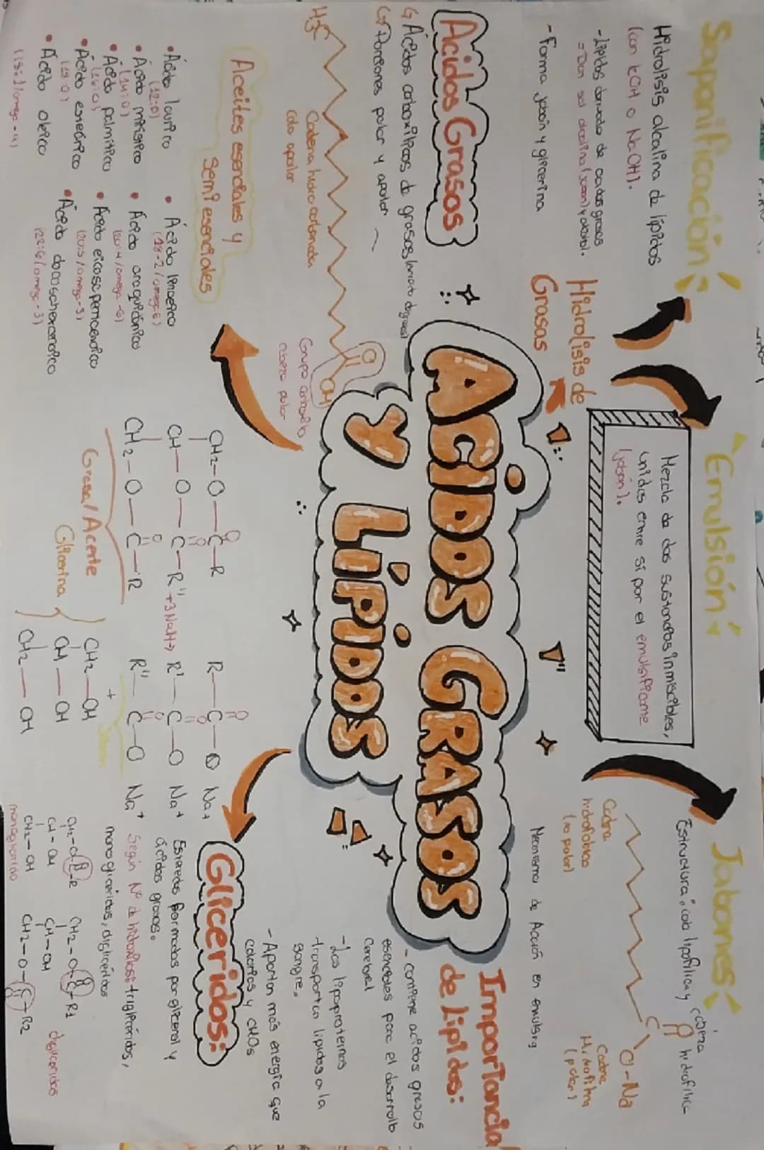 # ÁCIDOS GRASOS Y LÍPIDOS
## Saponificación
- Hidrólisis alcalina de lípidos (con KOH o NaOH).
- Lípidos derivados de ácidos grasos.
- Dan