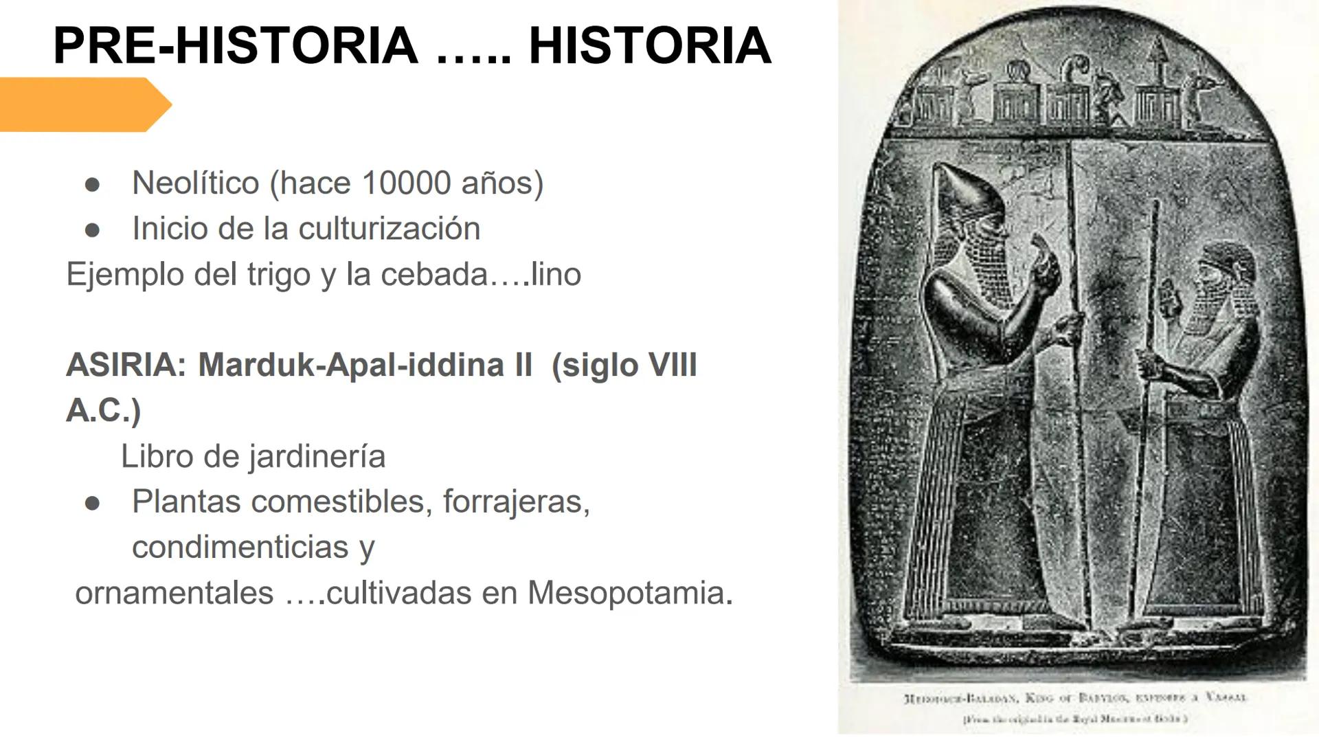 # UNIVERSIDAD NACIONAL DE SAN ANTONIO ABAD DEL CUSCO
# BOTÁNICA
## 2025-II
M.Sc. Gloria Calatayud Hermoza Origen.del Universo
13.500-15.0