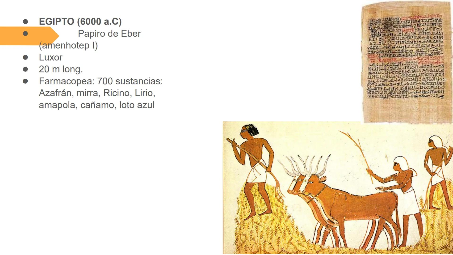 # UNIVERSIDAD NACIONAL DE SAN ANTONIO ABAD DEL CUSCO
# BOTÁNICA
## 2025-II
M.Sc. Gloria Calatayud Hermoza Origen.del Universo
13.500-15.0