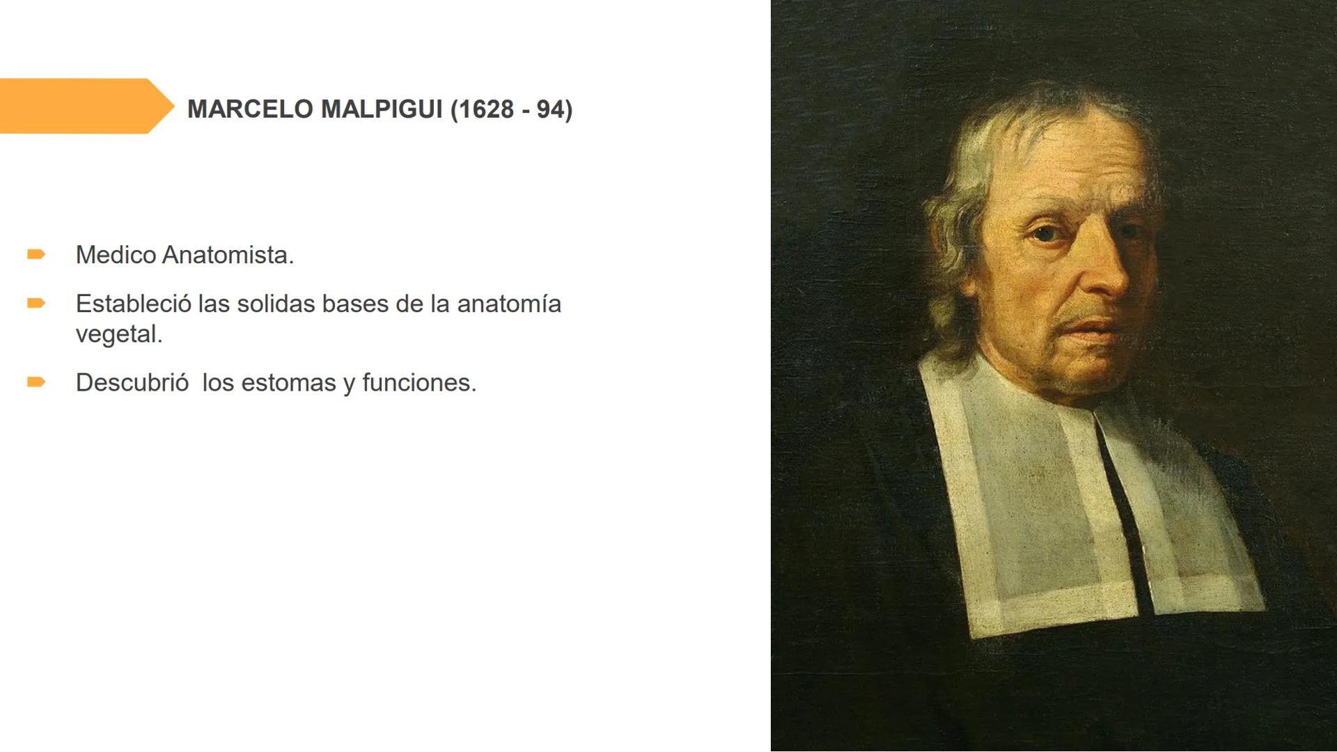 # UNIVERSIDAD NACIONAL DE SAN ANTONIO ABAD DEL CUSCO
# BOTÁNICA
## 2025-II
M.Sc. Gloria Calatayud Hermoza Origen.del Universo
13.500-15.0
