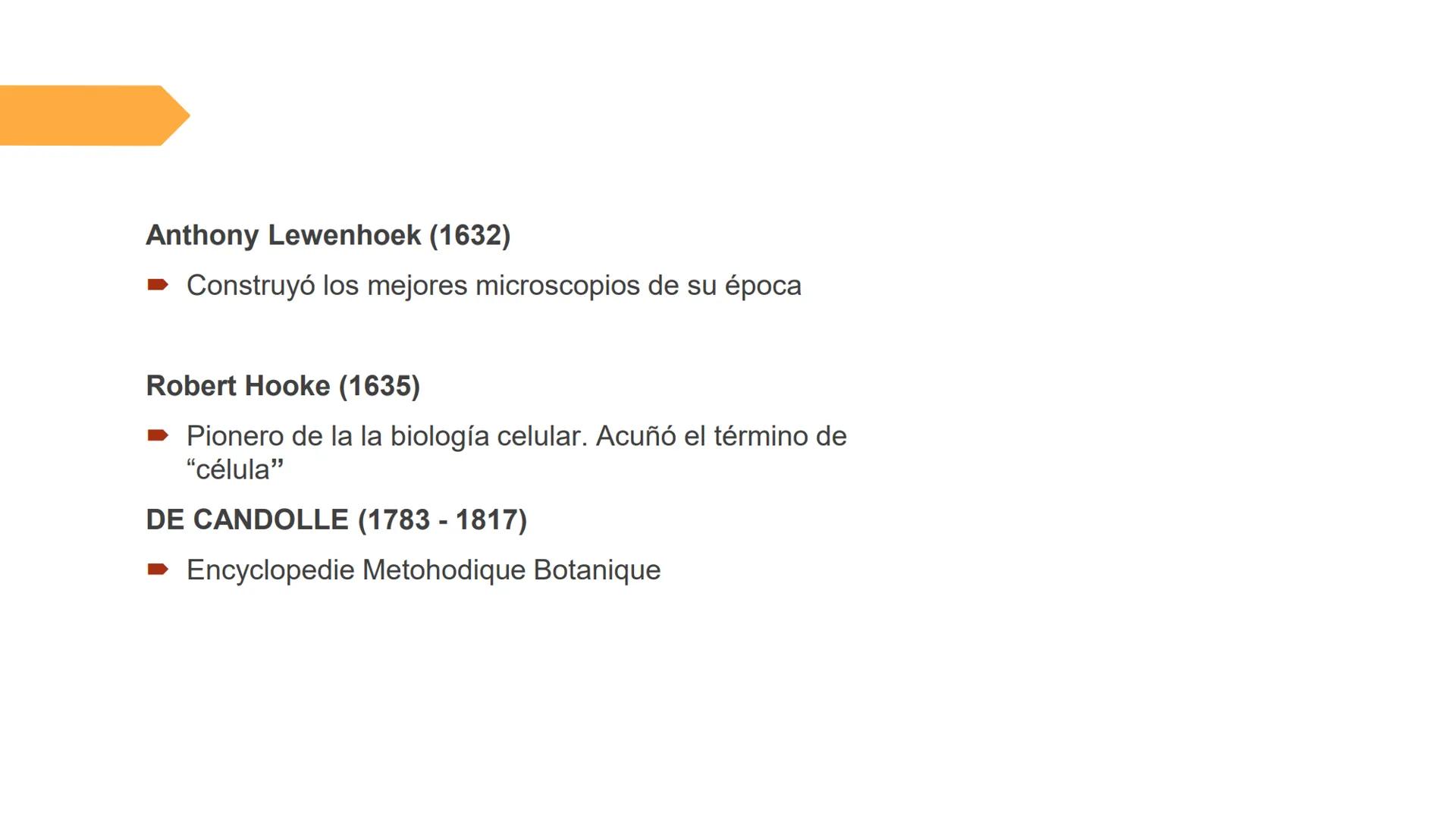 # UNIVERSIDAD NACIONAL DE SAN ANTONIO ABAD DEL CUSCO
# BOTÁNICA
## 2025-II
M.Sc. Gloria Calatayud Hermoza Origen.del Universo
13.500-15.0
