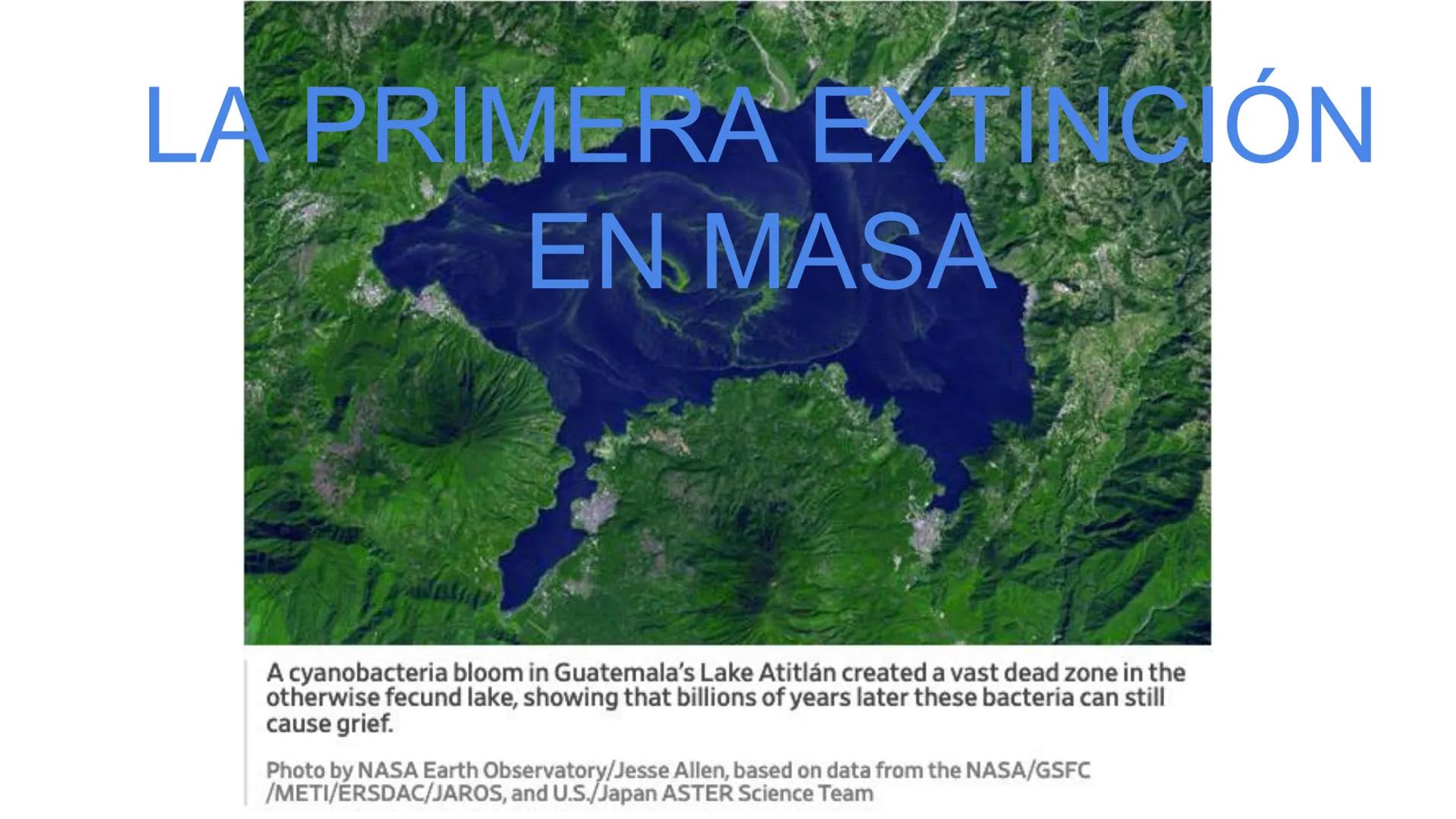 # UNIVERSIDAD NACIONAL DE SAN ANTONIO ABAD DEL CUSCO
# BOTÁNICA
## 2025-II
M.Sc. Gloria Calatayud Hermoza Origen.del Universo
13.500-15.0