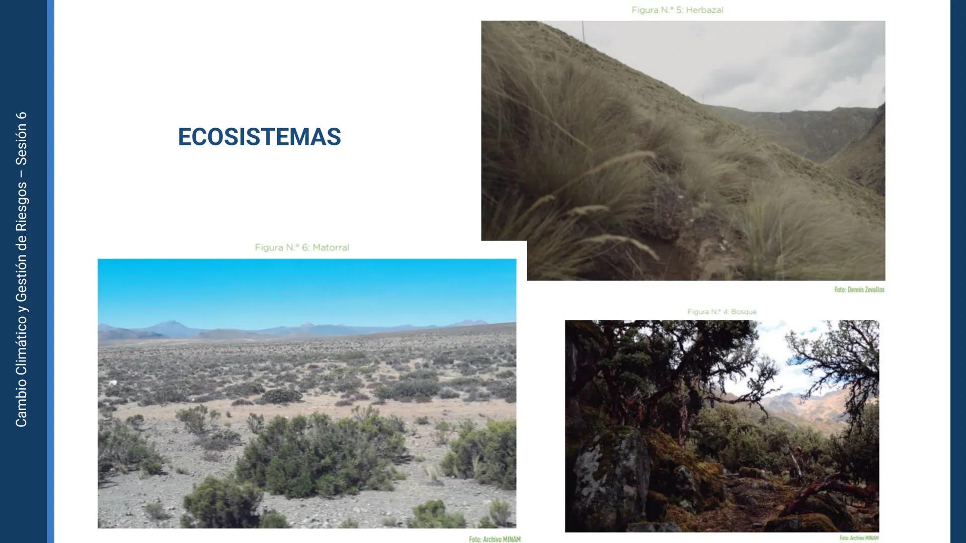 Pregrado
Facultad de
ciencias de la
salud