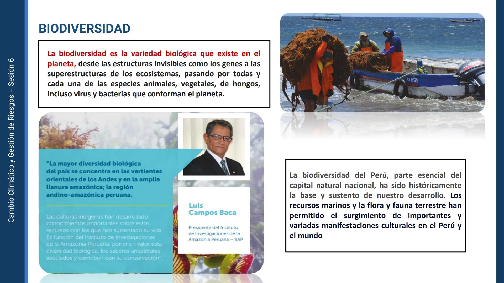 Pregrado
Facultad de
ciencias de la
salud