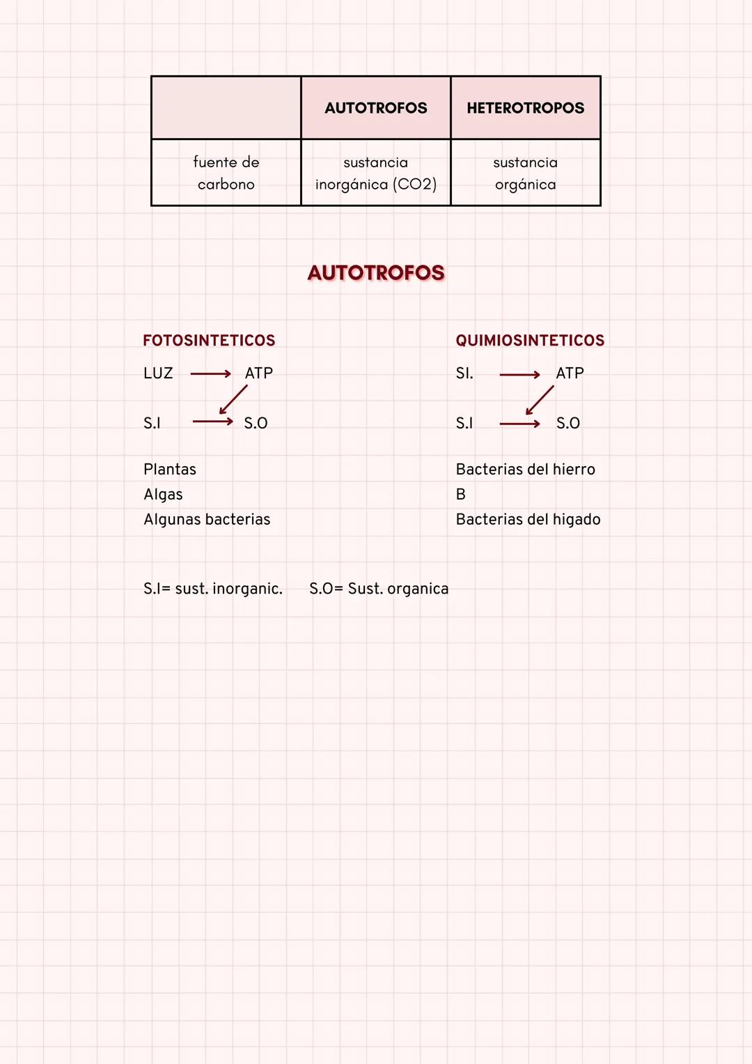 NIVELES DE ORGANIZACION DE
LA MATERIA
ATOMO: Conjunto de partículas
subatómicas
NH2
C
NUCLEOTIDO: Conjunto de átomos
iguales o diferentes en