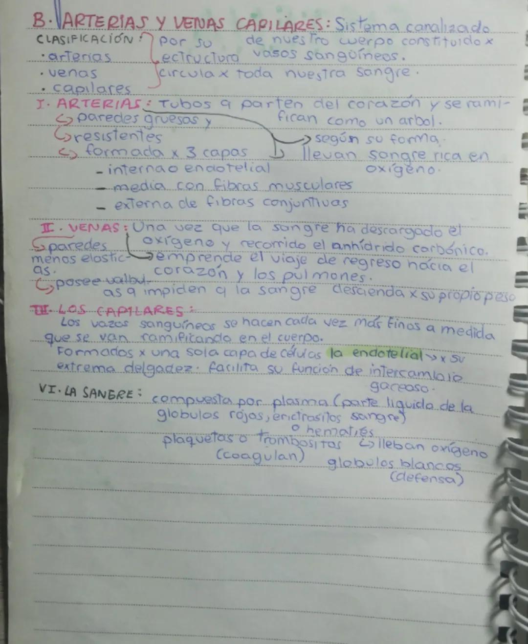 # B. ARTERIAS Y VENAS CAPILARES: Sistema canalizado
de nuestro cuerpo constituido x
CLASIFICACION:
- arterias
por su
vasos sanguíneos.
- ven