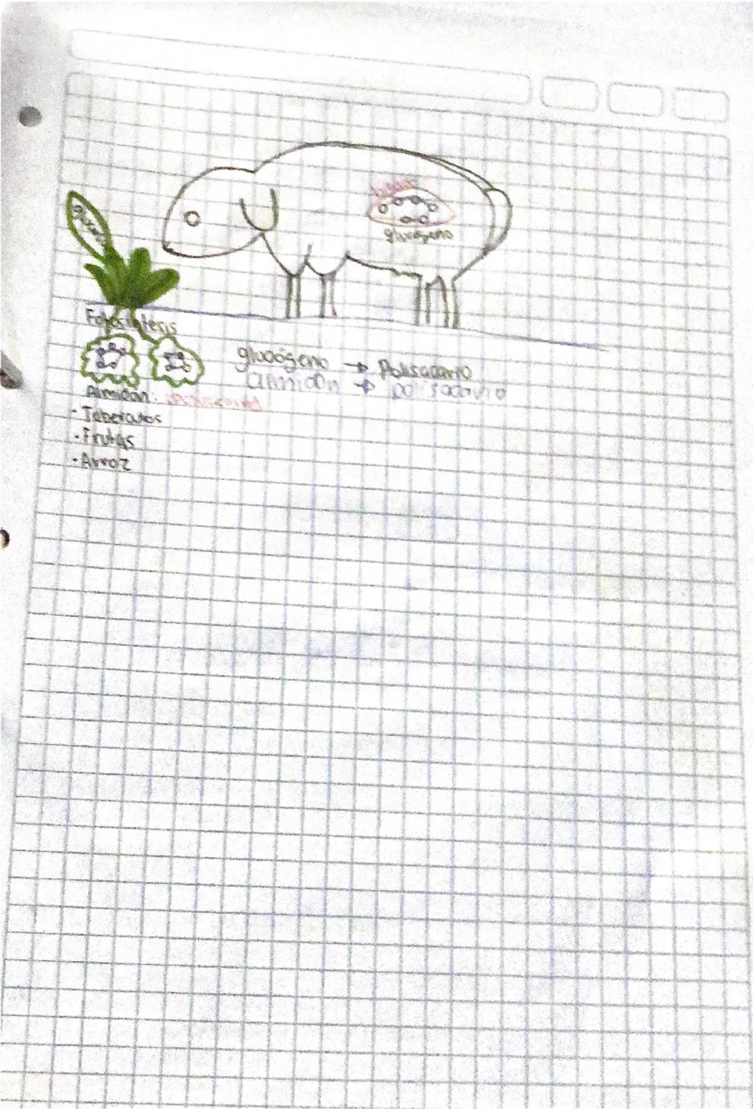 25
03
25
# GLUCIDOS
* EI CARBONO
12
C
1s², 25, 2p²
Че
Regia del ocleto
Propiedades del caband
1. Covalencia Puede compartir stornos eve