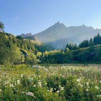 user profile picture